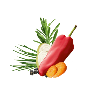Paprika, Rosmarin, Zwiebelscheiben, Karottenscheiben, Pfeffer und Schnittlauch