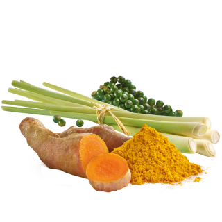 Curcuma mit Lemongras und grünem Pfeffer