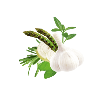 gegrillter Spargel, Knoblauch, Zwiebel, Thymian, Rosmarin und Basilikum