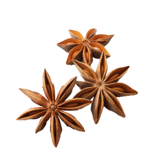 fliegender Sternanis