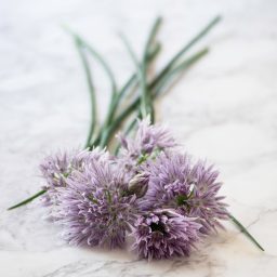 Schnittlauch mit Blüten auf Mamor-Arbeitsfläche