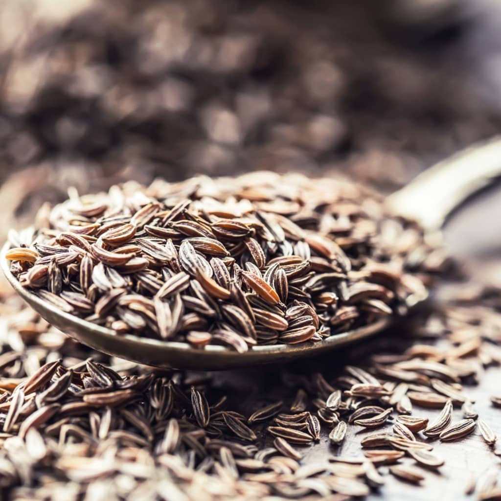 Caraway — Spice, Use, Plant Kotányi