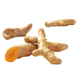 schwebende Curcumaknollen
