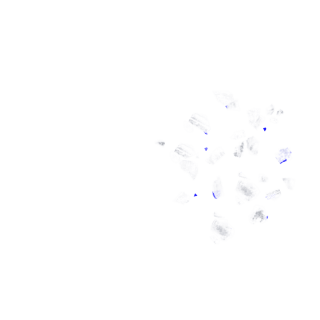 Persiensalz Körner