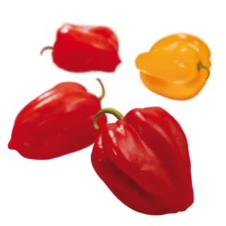 schwebende Paprika