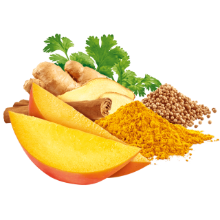 Mango mit Zimt, Ingwer, Koriander und Curcuma