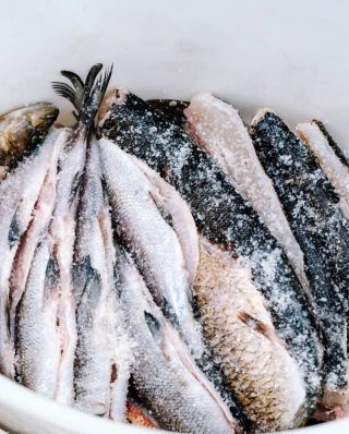 salted fish in a white box