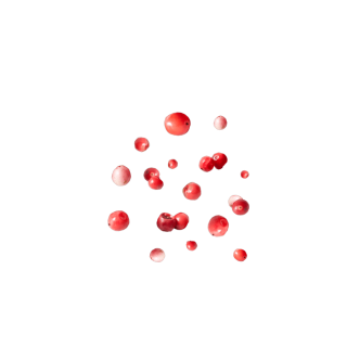 fliegende Rosa Beeren
