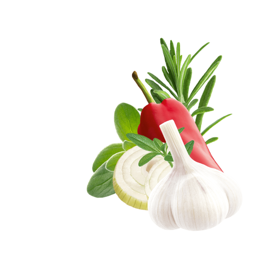 Rosemary, garlic, onion slices and oregano