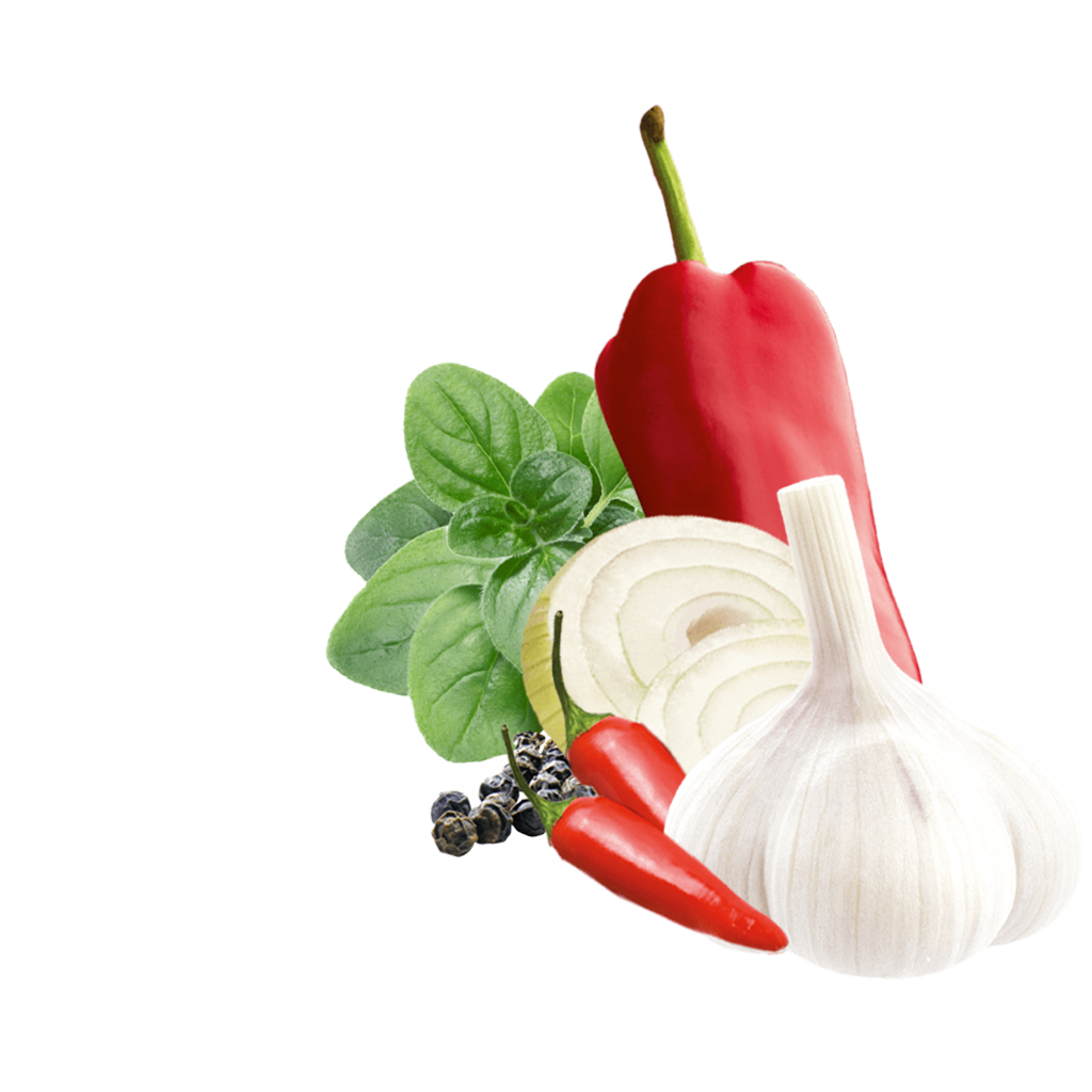 Paprika, garlic, onion slices, chilies and black pepper