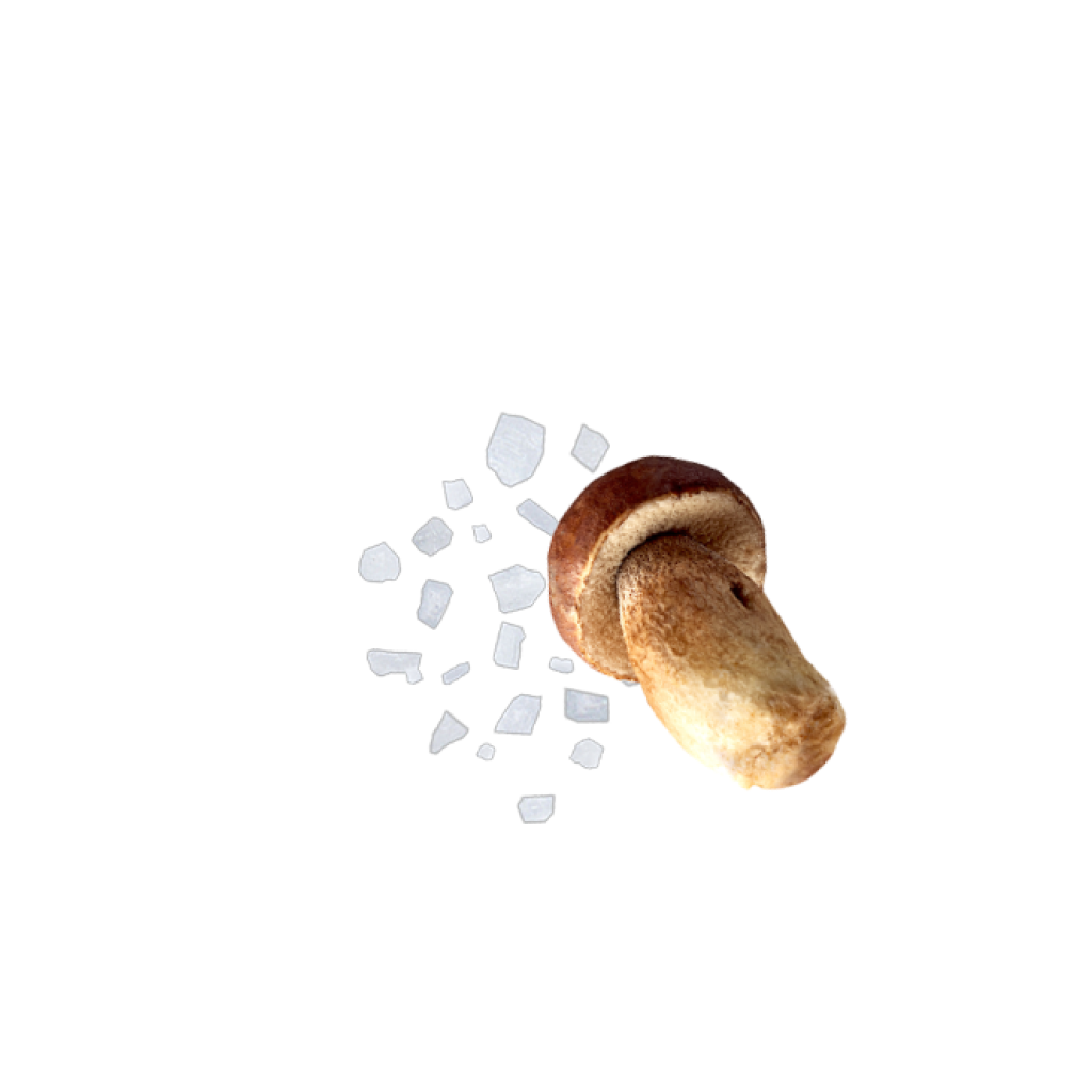 Content Trüffelmuehle