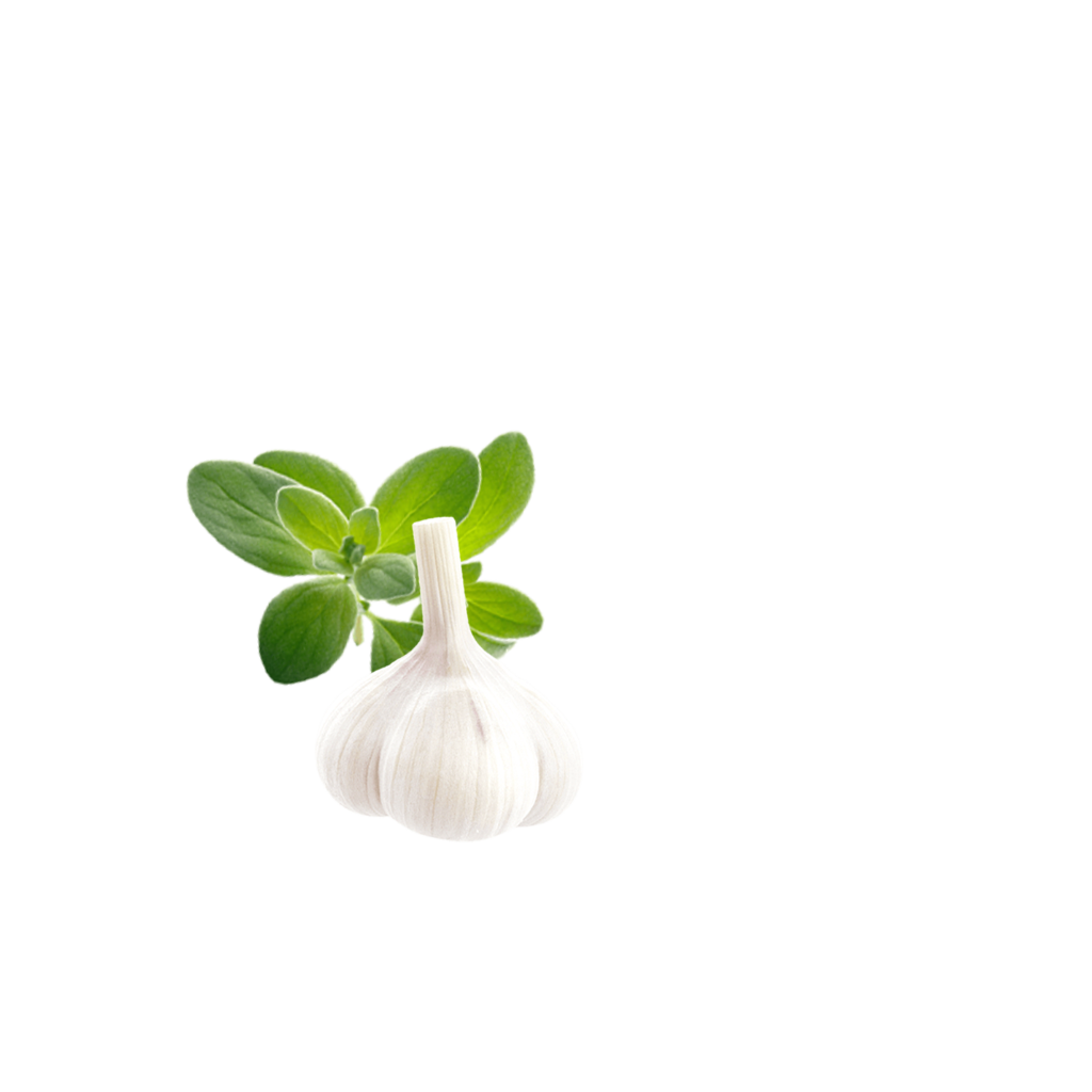 Crispypoh Garlic Content