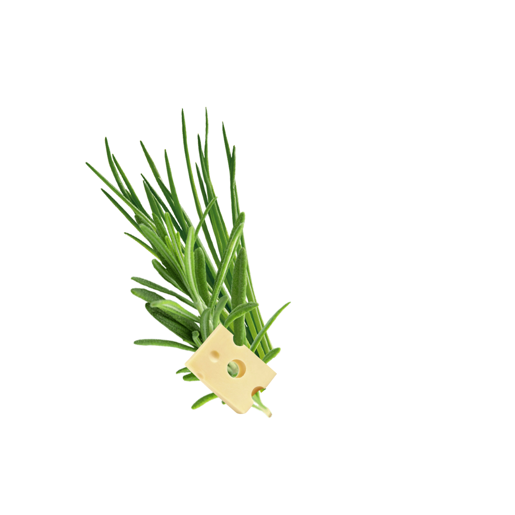Crispypoh Sir Content 1